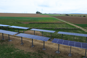 Champs de trackers solaires Terra pour l’agriculture, avec le point le plus bas à 1,80 m, permettant le passage de matériel agricole sous les panneaux orientables suivant la course du soleil.