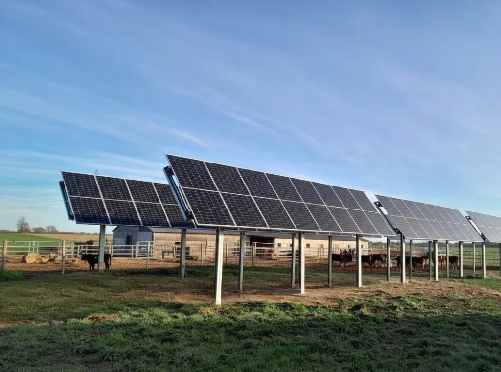 Tracker solaire 1 axe Falco Solar modèle Terra composé de 8 modules solaires montés sur une structure surélevé qui s’oriente d’est en ouest. Tracker solaire pour l'autoconsommation agricole.